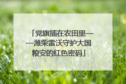 党旗插在农田里——潍柴雷沃守护大国粮安的红色密码