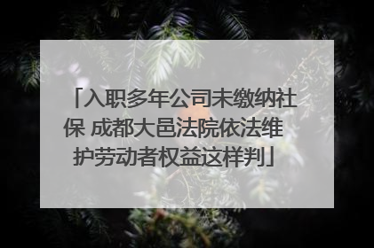 入职多年公司未缴纳社保 成都大邑法院依法维护劳动者权益这样判