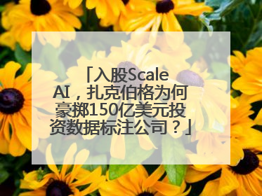 入股Scale AI，扎克伯格为何豪掷150亿美元投资数据标注公司？