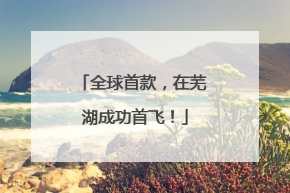 全球首款，在芜湖成功首飞！