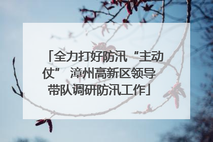 全力打好防汛“主动仗” 漳州高新区领导带队调研防汛工作