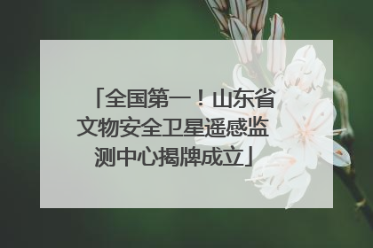 全国第一！山东省文物安全卫星遥感监测中心揭牌成立