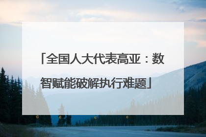 全国人大代表高亚：数智赋能破解执行难题