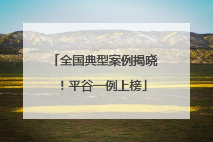 全国典型案例揭晓！平谷一例上榜