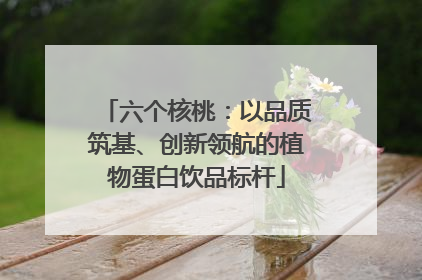 六个核桃：以品质筑基、创新领航的植物蛋白饮品标杆