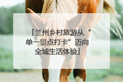 兰州乡村旅游从“单一景点打卡”迈向全域生活体验