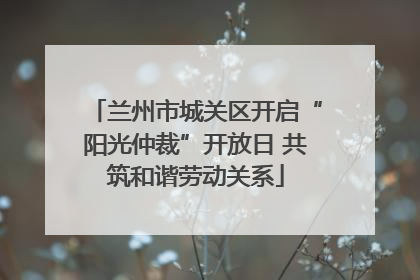 兰州市城关区开启“阳光仲裁”开放日 共筑和谐劳动关系