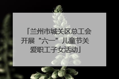 兰州市城关区总工会开展“六一”儿童节关爱职工子女活动