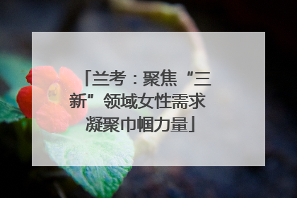 兰考：聚焦“三新”领域女性需求 凝聚巾帼力量