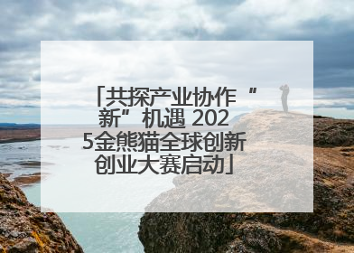共探产业协作“新”机遇 2025金熊猫全球创新创业大赛启动