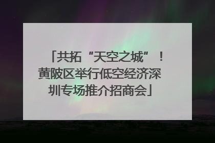 共拓“天空之城”！黄陂区举行低空经济深圳专场推介招商会