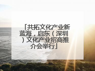 共拓文化产业新蓝海，启东（深圳）文化产业招商推介会举行