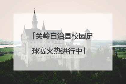 关岭自治县校园足球赛火热进行中