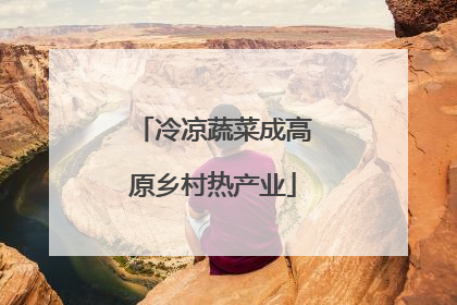 冷凉蔬菜成高原乡村热产业