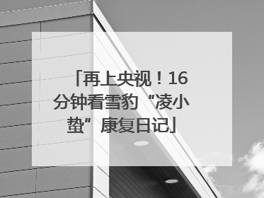 再上央视！16分钟看雪豹“凌小蛰”康复日记