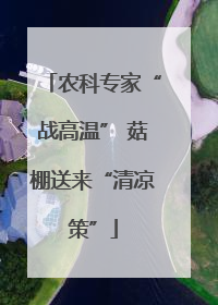 农科专家“战高温” 菇棚送来“清凉策”