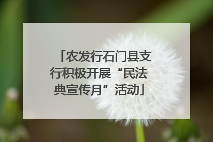 农发行石门县支行积极开展“民法典宣传月”活动
