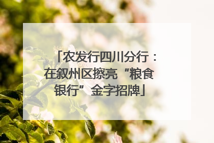 农发行四川分行：在叙州区擦亮“粮食银行”金字招牌