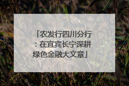 农发行四川分行：在宜宾长宁深耕绿色金融大文章