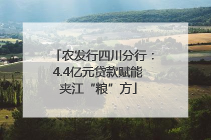农发行四川分行：4.4亿元贷款赋能夹江“粮”方