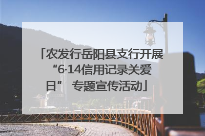 农发行岳阳县支行开展“6·14信用记录关爱日” 专题宣传活动