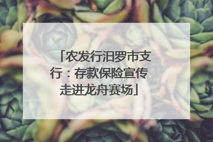 农发行汨罗市支行：存款保险宣传走进龙舟赛场