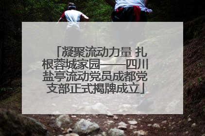凝聚流动力量 扎根蓉城家园——四川盐亭流动党员成都党支部正式揭牌成立