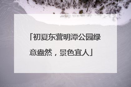 初夏东营明潭公园绿意盎然，景色宜人