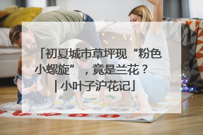 初夏城市草坪现“粉色小螺旋”，竟是兰花？ | 小叶子沪花记