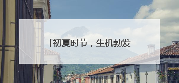 初夏时节，生机勃发，幼儿园里活动多！