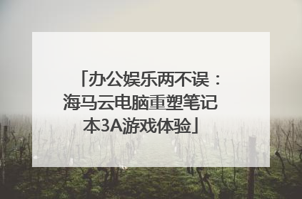 办公娱乐两不误：海马云电脑重塑笔记本3A游戏体验