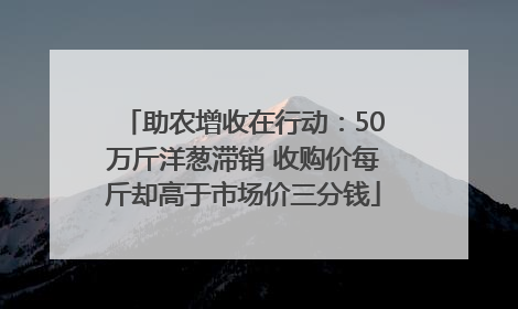 助农增收在行动：50万斤洋葱滞销 收购价每斤却高于市场价三分钱