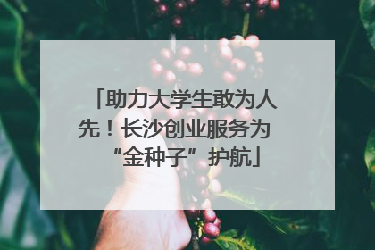 助力大学生敢为人先！长沙创业服务为“金种子”护航