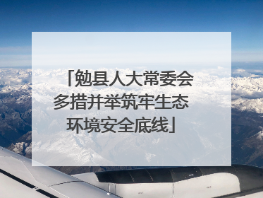 勉县人大常委会多措并举筑牢生态环境安全底线