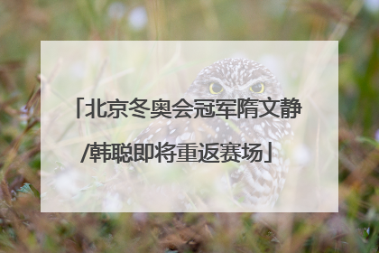 北京冬奥会冠军隋文静/韩聪即将重返赛场