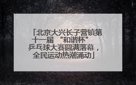 北京大兴长子营镇第十一届 “和谐杯” 乒乓球大赛圆满落幕，全民运动热潮涌动