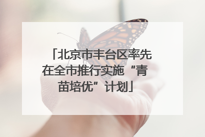 北京市丰台区率先在全市推行实施“青苗培优”计划