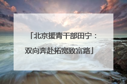 北京援青干部田宁：双向奔赴拓宽致富路