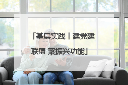 基层实践丨建党建联盟 聚振兴功能