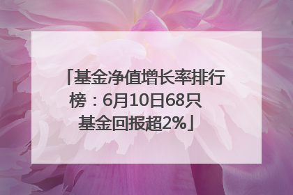 基金净值增长率排行榜：6月10日68只基金回报超2%