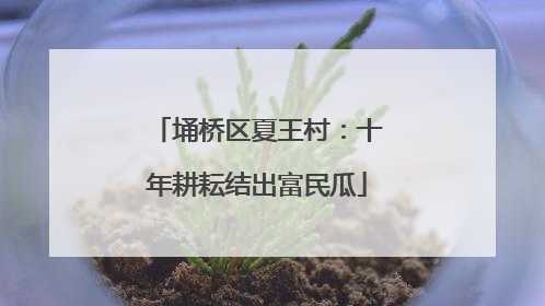 埇桥区夏王村：十年耕耘结出富民瓜