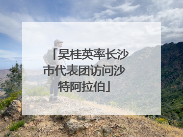 吴桂英率长沙市代表团访问沙特阿拉伯