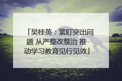 吴桂英：紧盯突出问题 从严整改整治 推动学习教育见行见效