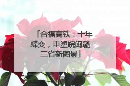 合福高铁：十年蝶变，重塑皖闽赣三省新图景