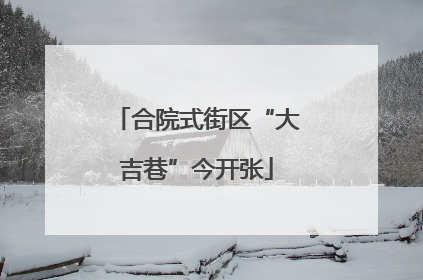 合院式街区“大吉巷”今开张