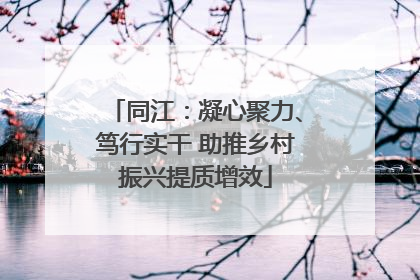 同江：凝心聚力、笃行实干 助推乡村振兴提质增效