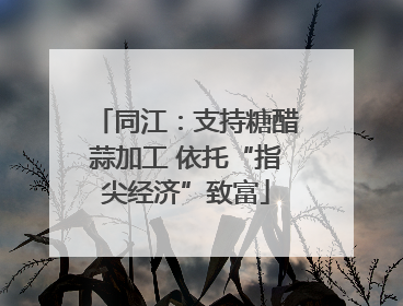 同江：支持糖醋蒜加工 依托“指尖经济”致富