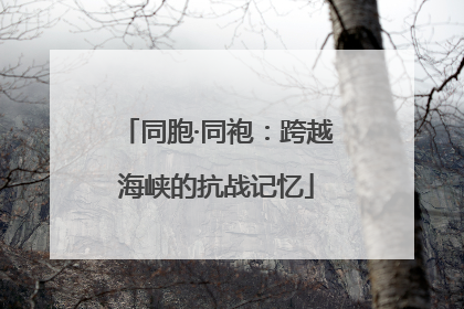 同胞·同袍：跨越海峡的抗战记忆