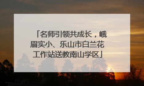 名师引领共成长，峨眉实小、乐山市白兰花工作站送教南山学区
