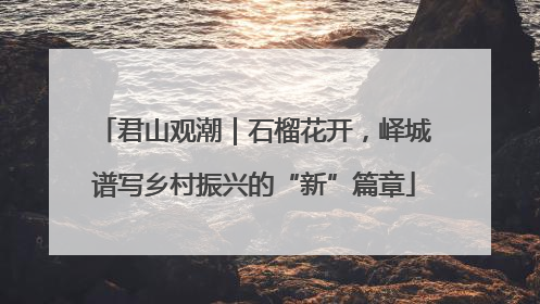 君山观潮｜石榴花开，峄城谱写乡村振兴的“新”篇章